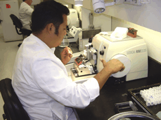 Histology Lab: Microtomy